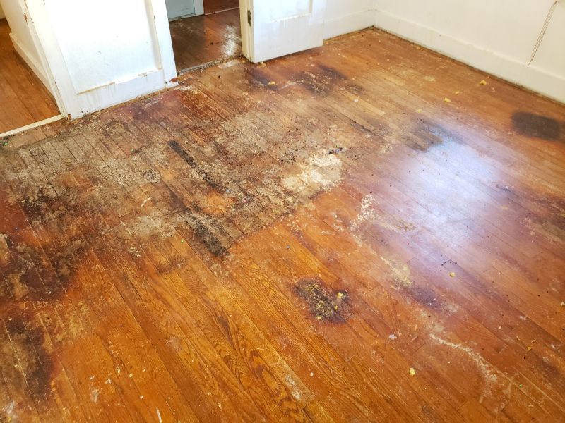 Rotten Floor Repair